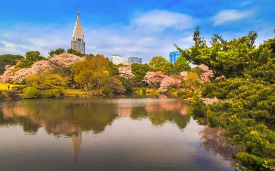 Shinjuku Gyoen Park